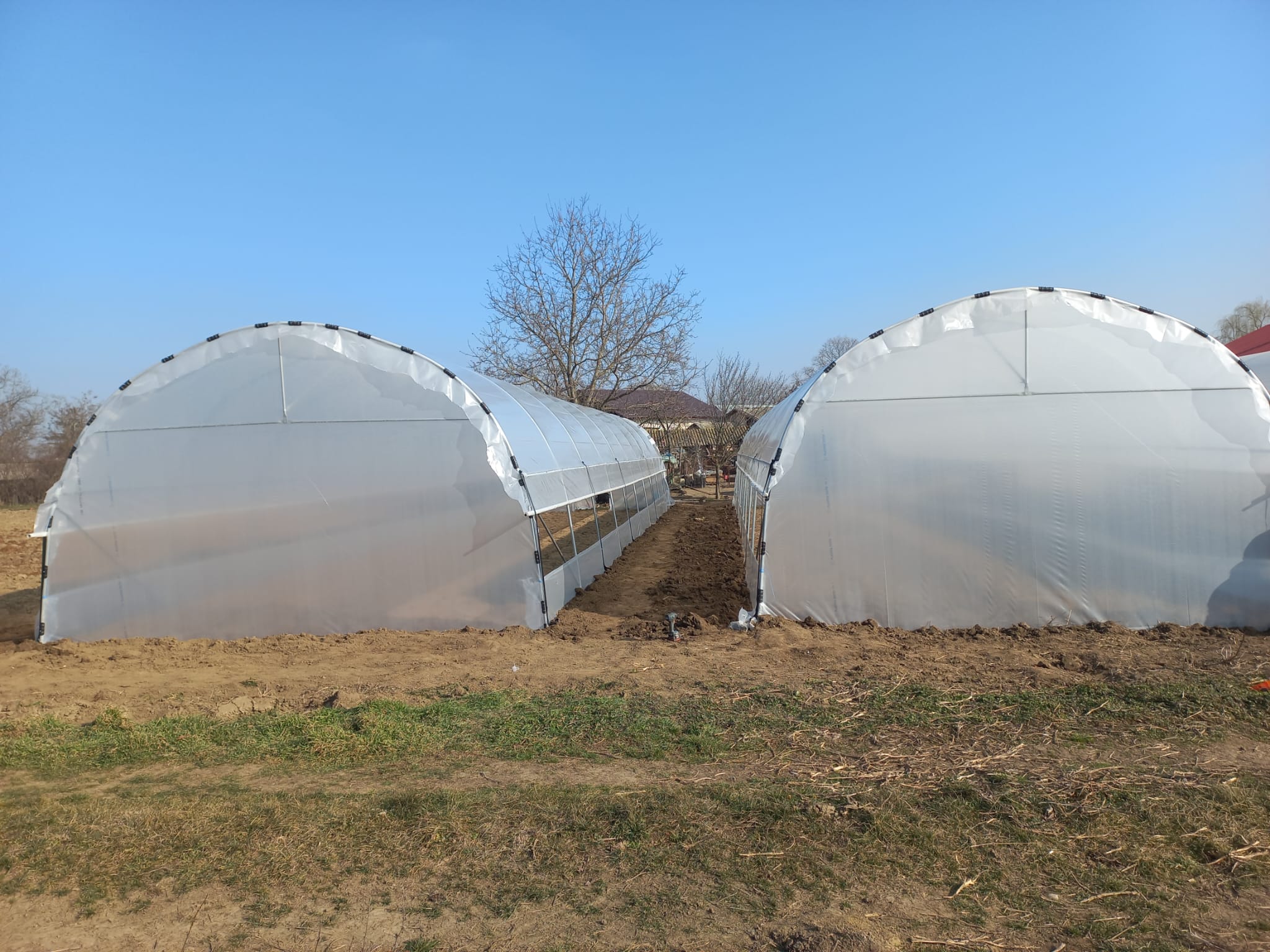 Solar 5m - imagine 7